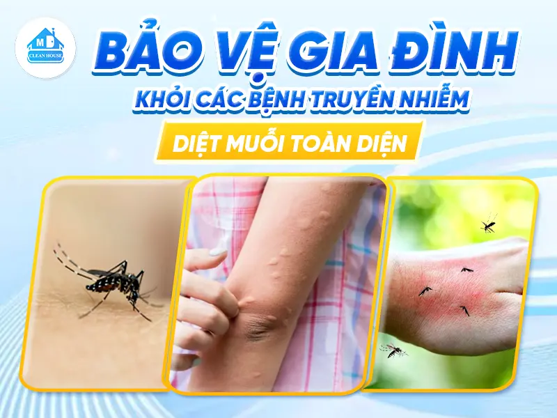 BẢO VỆ GIA ĐÌNH KHỎI CÁC BỆNH TRUYỀN NHIỄM – DIỆT MUỖI TOÀN DIỆN