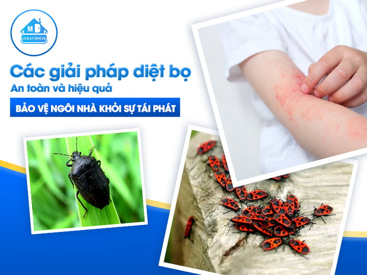 CÁC GIẢI PHÁP DIỆT BỌ AN TOÀN VÀ HIỆU QUẢ – BẢO VỆ NGÔI NHÀ KHỎI SỰ TÁI PHÁT