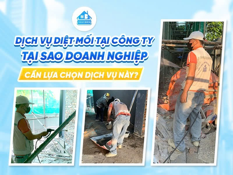 DỊCH VỤ DIỆT MỐI TẠI CÔNG TY: TẠI SAO DOANH NGHIỆP CẦN LỰA CHỌN DỊCH VỤ NÀY?