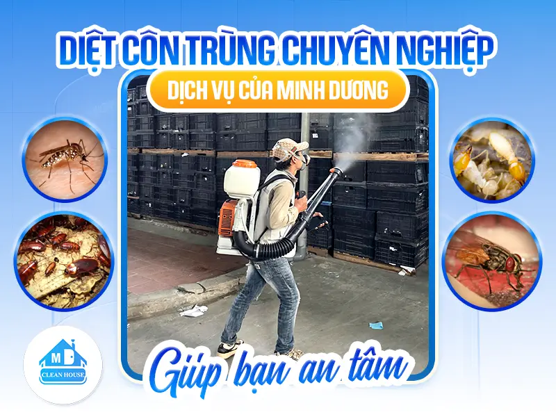 DIỆT CÔN TRÙNG CHUYÊN NGHIỆP – DỊCH VỤ CỦA MINH DƯƠNG GIÚP BẠN AN TÂM