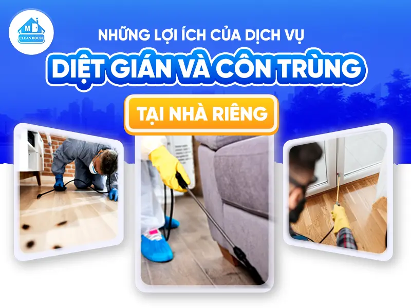 NHỮNG LỢI ÍCH CỦA DỊCH VỤ DIỆT GIÁN VÀ CÔN TRÙNG TẠI NHÀ RIÊNG