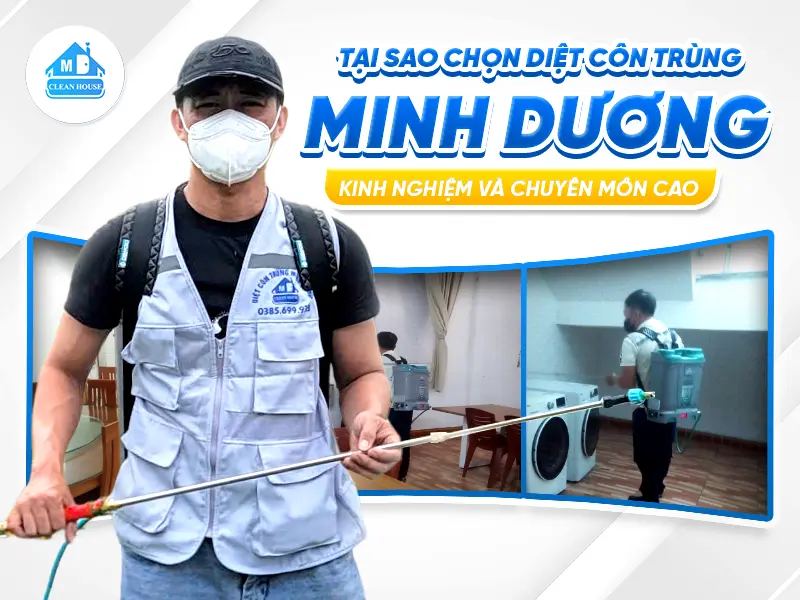 TẠI SAO CHỌN DỊCH VỤ DIỆT CÔN TRÙNG MINH DƯƠNG – KINH NGHIỆM VÀ CHUYÊN MÔN CAO CỦA CHÚNG TÔI