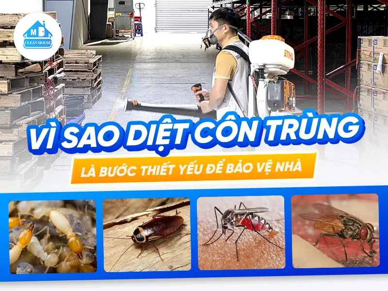 TẠI SAO DIỆT CÔN TRÙNG LÀ BƯỚC QUAN TRỌNG ĐỂ BẢO VỆ NGÔI NHÀ CỦA BẠN